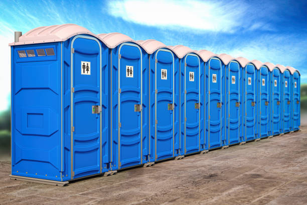 Best Portable Toilets for Disaster Relief Sites  in Chena Ridge, AK