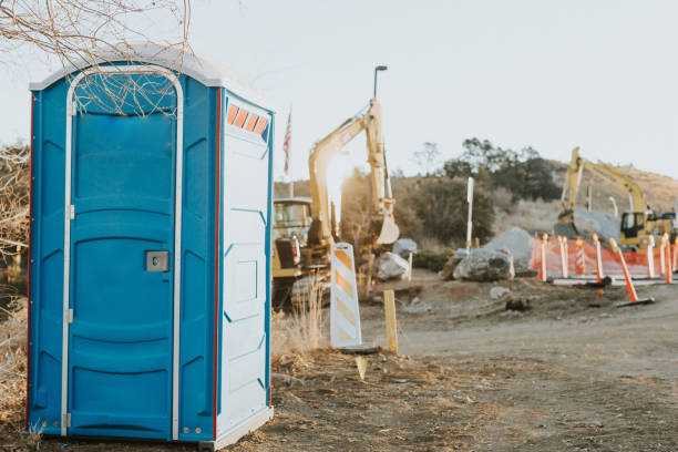 Best Portable Toilets with Baby Changing Stations  in Chena Ridge, AK